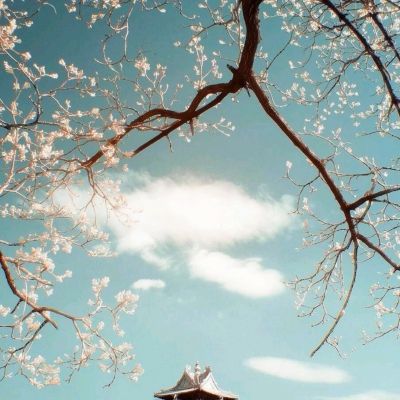 远古入侵手机版(暂未上线)v1.0.0 安卓版